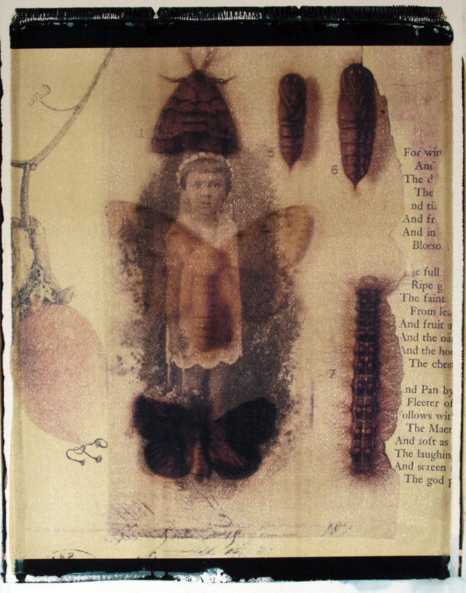 Moth Child II - 20x24 - $3200 Framed