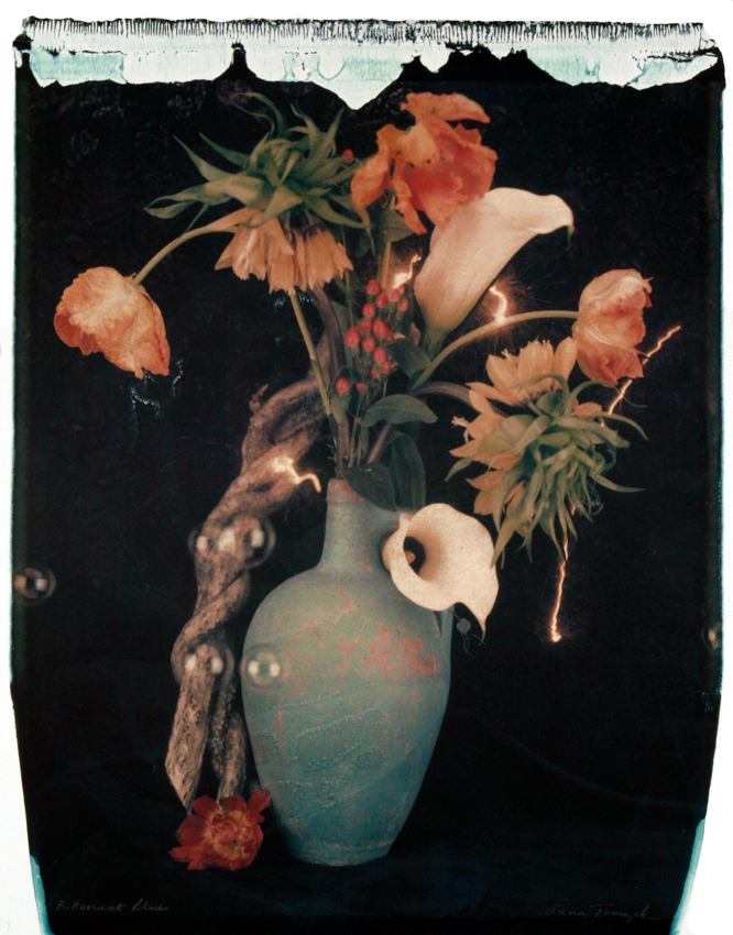 Bitterwsweet Blye 2006 - 20x24 - $3200 Framed