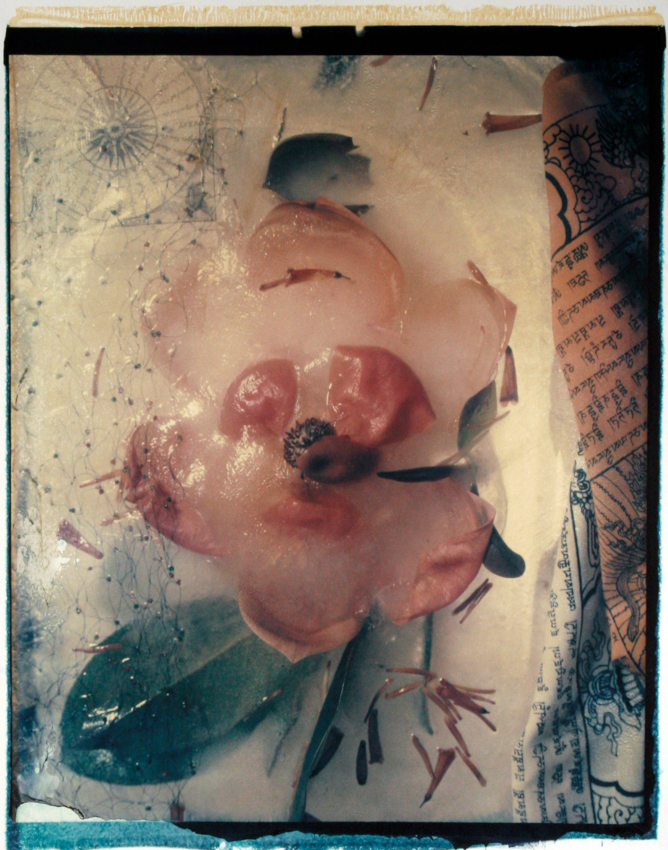 Magnolia Flags 2005 - 20x24 - $3200 Framed