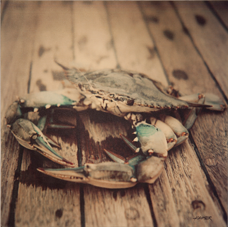 The Crab - $1000 -30 X 30 Giclee