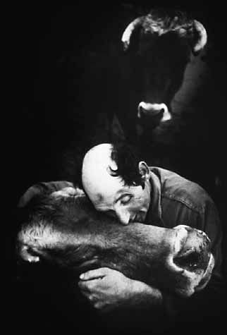 Tears for her - 1987 - $3500