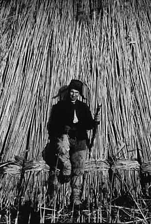 Lom Tradition - 1991 - $2000