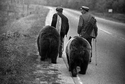 Gypsies from Yagota with Dancing Bears - 1993 - $2500