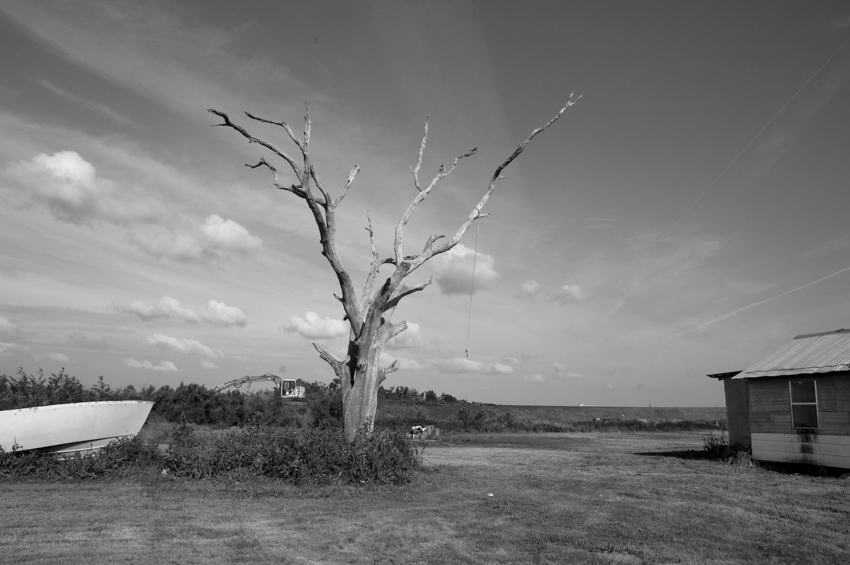 Boat, Tree, Levee, House - 12x18 - $850-$1000
