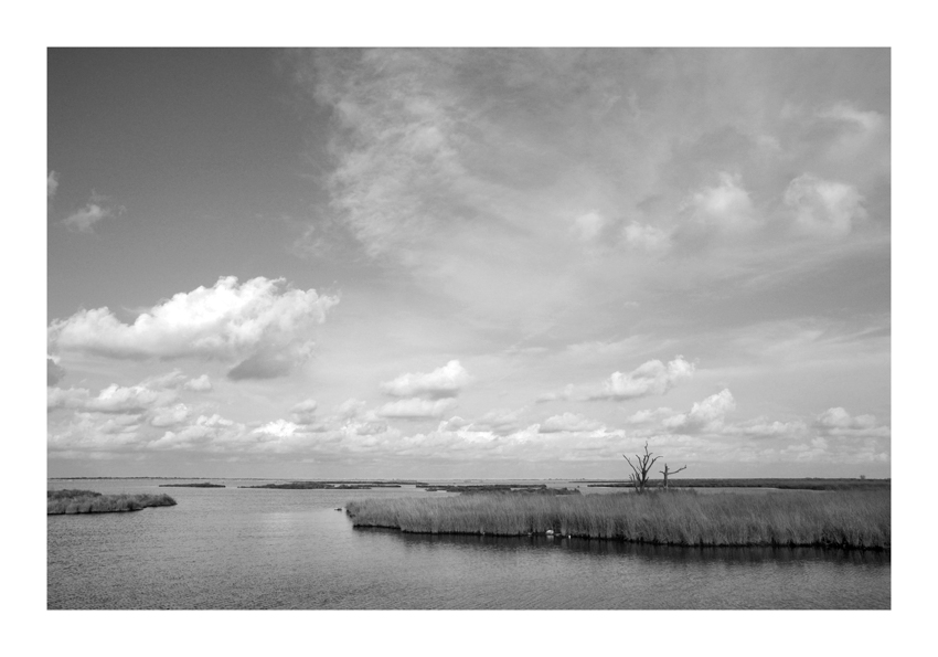 Disappearing Marshlands - 12x18 - $850-$1000