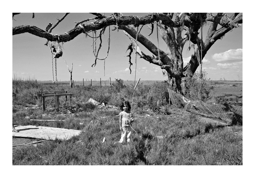 The Ol' Swing Tree - 12x18 - $850-$1000