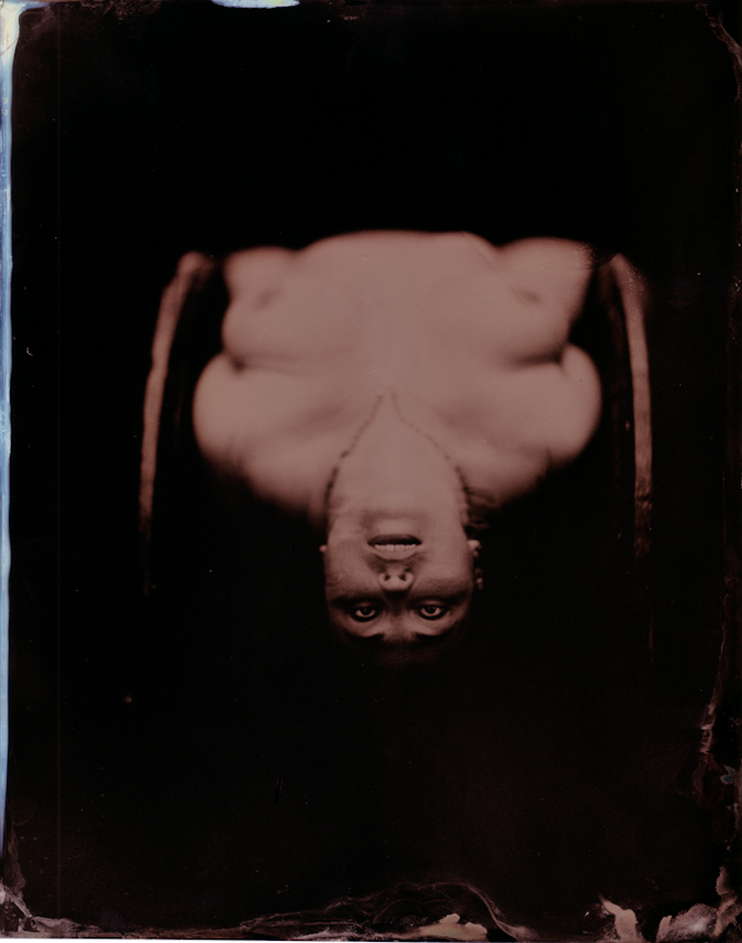 Euphus Ruth - Therapy - 8x10 - $1200