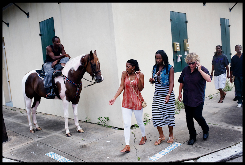 Surprise - 18x24 - $250