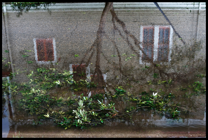 Wreckage - 18x24 - $250