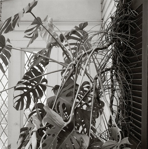 Richard Sexton - Encroachment - 15 x 15 - $500 Unframed $650 Framed